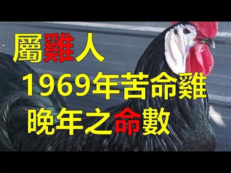 2023屬雞運勢|2023年12生肖幸運月出爐！屬雞長達6個月都交好運